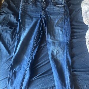 American Eagle Outfitters Dark Blue Skinny Jeans